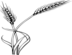 Stalk, Nature, Growth, Plant, Botanical PNG