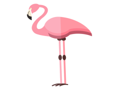 Standing Flamingo Bird Vector, Flamingo Silhouette, Pink Bird, Wildlife Vector, Tropical Bird PNG
