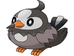 Staraptor Pokemon, Strong Attacker, Intimidate Ability, Speedy Flyer, Flying Type PNG