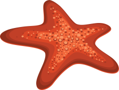 Starfish, Coastal, Invertebrate, Sea Creature, Ecosystem PNG