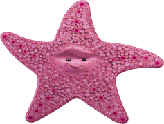 Starfish, Wildlife, Nature, Coral, Invertebrate PNG