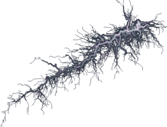 Storm, Rain, Wind, Lightning, Thunder PNG