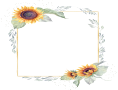 Sunflower Border, Cheerful Accent, Nature Decor, Floral Frame, Bright Blooms PNG