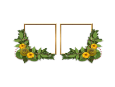 Sunflower Border, Summer Vibes, Floral Frame, Nature Decor, Rustic Charm PNG