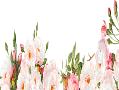 Sunflower Border, Summer Vibes, Happy Aesthetic, Garden Theme, Nature Decor PNG