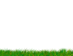Sunny Grass Field, Meadow, Greenery, Nature, Scenery PNG
