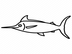 Sword Fish, Aquatic Life, Marine Species, Fish Anatomy, Ocean Predator PNG