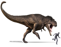 T Rex, Extinct, Reptile, Jurassic, Predator PNG