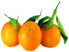 Tangerine, Sweetness, Citrus, Tropical, Fruit PNG
