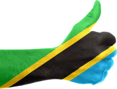 Tanzania Flag, Black, Yellow, Symbol, Nation PNG