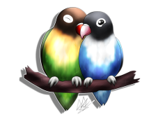 The Lovebirds, Comedy, Relationships, Adventure, Journey PNG