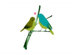 The Lovebirds, Misunderstanding, Betrayal, Adventure, Comedy PNG