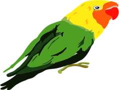 The Lovebirds, Romance, Adventure, Misunderstanding, Comedy PNG