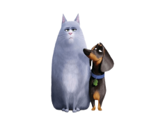 The Secret Life Of Pets Chloe, Pets, Animated, Adventure, Humor PNG
