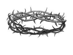 Thorns Crown, Strength, Resilience, Nature, Beauty PNG