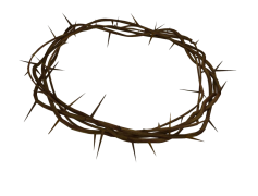Thorns Crown, Symbolism, Contrast, Nature, Resilience PNG