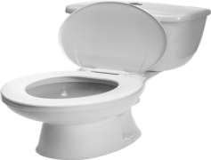 Toilet, Comfort Station, Powder Room, Bathroom, Restroom PNG