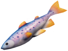 Trout, Wildlife, Freshwater, Fishing, Sport PNG