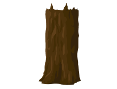 Trunk, Bark, Habitat, Ecosystem, Tree PNG