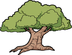 Trunk, Ecosystem, Forest, Nature, Wood PNG