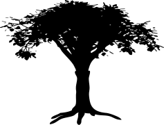 Trunk, Roots, Cargo, Nature, Wood PNG