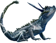 Tuataras, Endemic, Conservation, Ancient, New Zealand PNG