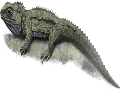 Tuataras, Lizard, Endangered, Reptiles, Conservation PNG