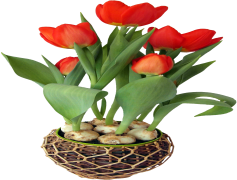 Tulip Flower Pot, Spring Decor, Decorative Planter, Garden Container, Indoor Plant PNG