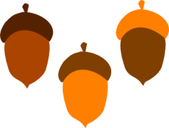 Vector Acorn, Autumn, Forest, Organic, Brown PNG