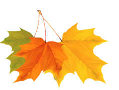 Vector Autumn Leaf, Botanical Vector, Nature Illustration, Leafy Design, Seasonal Decor PNG