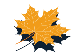 Vector Autumn Leaf, Rustic Aesthetic, Leaf Patterns, Colorful Leaves, Fall Foliage PNG