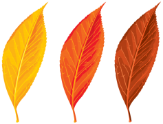 Vector Autumn Leaf, Warm, Leafy, Seasonal, Nature PNG