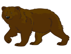 Vector Bear, Art, Animal, Nature, Wildlife PNG