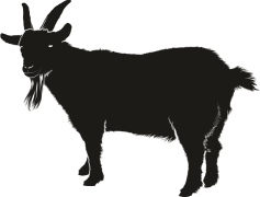 Vector Goat Black, Art, Animal, Nature, Farm PNG