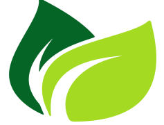 Vector Green Leafs, Organic Shapes, Leaf Patterns, Botanical Art, Greenery Decor PNG