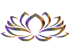 Vector Lotus Flower, Zen Aesthetic, Blossom Art, Floral Design, Water Lily PNG