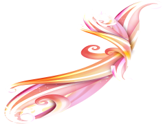 Vector PNG Transparent Picture