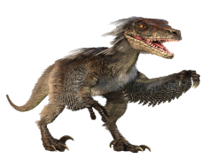 Velociraptor, Dinosaur, Pack, Predator, Agile PNG