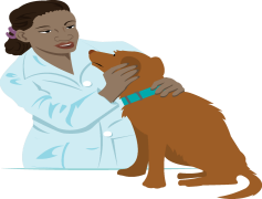 Veterinarian, Health Checkups, Clinical Services, Pet Health, Animal Care PNG