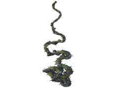 Vine, Nature, Leaves, Climbing, Organic PNG