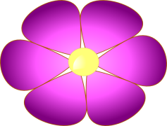 Violet, Flower, Garden, Beauty, Nature PNG