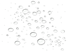 Water Bubbles, Soft, Nature, Playful, Soothing PNG