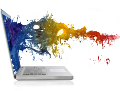 Web Design, User Experience, Branding, Typography, Color Scheme PNG