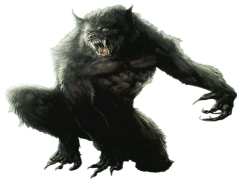 Werewolf Transparent Background