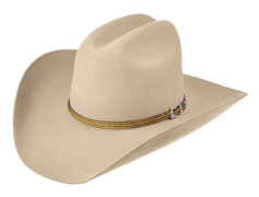 Western Cowboy Hat, Country Fashion, Western Wear, Frontier Accessory, Western Attire PNG
