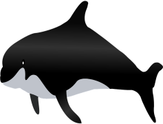 Whale, Nature, Creature, Mammal, Ocean PNG