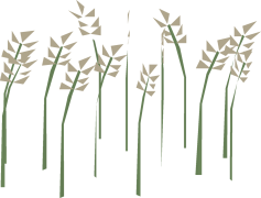 Wheat, Bread, Grain, Cereal, Harvest PNG