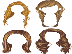 Wig, Beauty, Style, Accessory, Fashion PNG