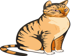 Wild Cat Vector, Wildlife Drawing, Animal Silhouette, Feline Art, Nature Theme PNG