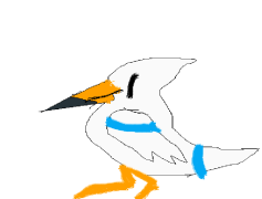 Wingull Pokemon, Water Type, Coastal Habitat, Mischievous, Adaptable PNG